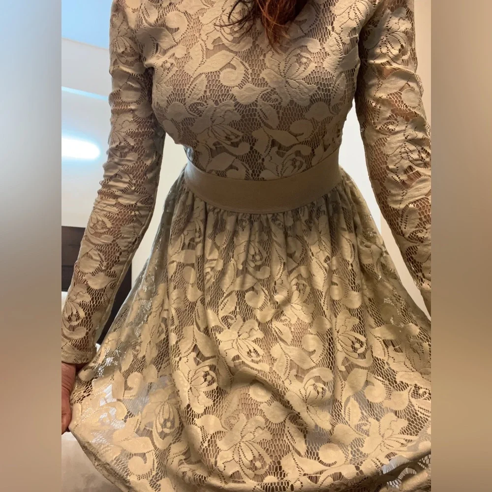 Zara Crème Net Lace Dress - Picture 7 of 12
